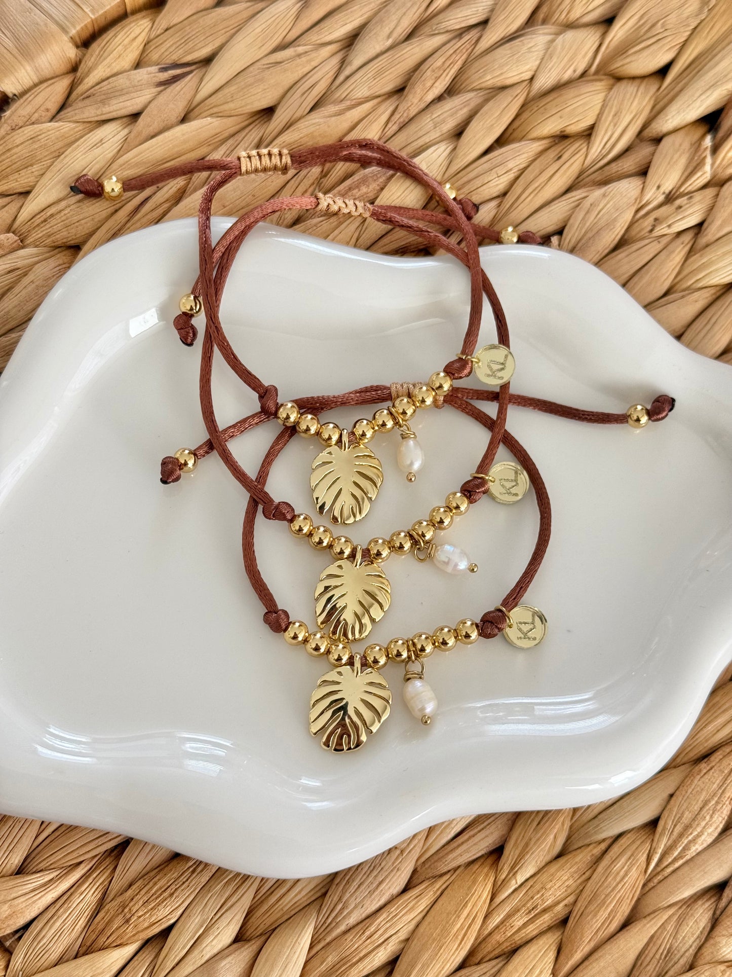 Monstera brown