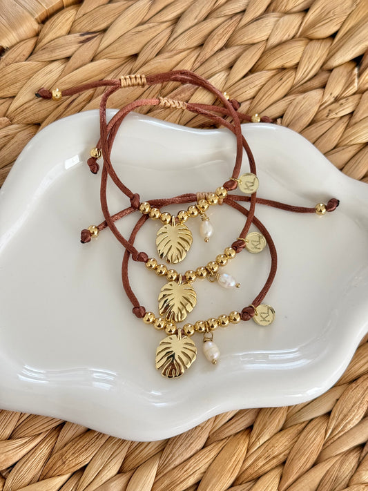 Monstera brown