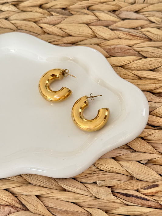 Chunky hoops earrings