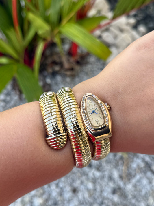 Snake reloj
