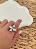 Trouble chunk ring